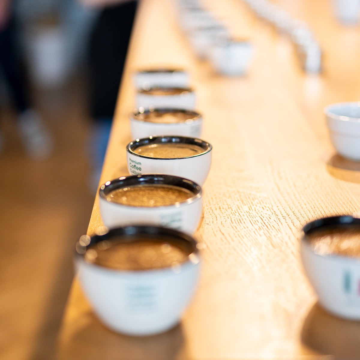 Cupping von neuen Kaffees bei 19grams
