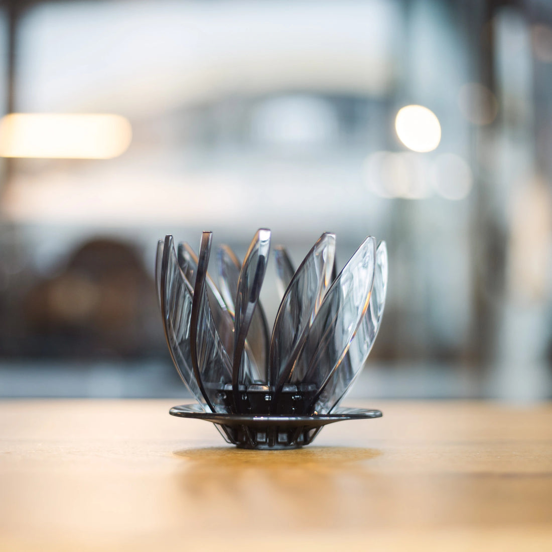 Hario V60 Suiren mit Arundhati Shenoy – Specialty Coffee Filter-Brew bei 19grims.com Roasters Berlin
