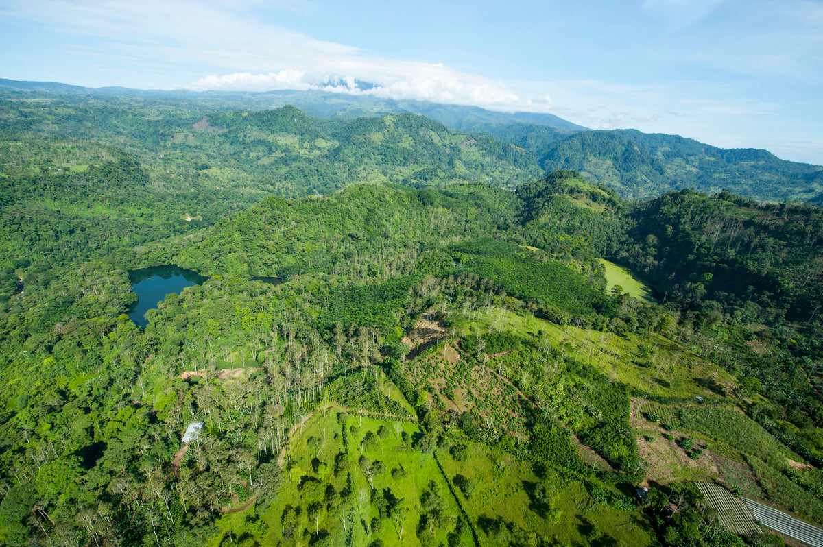 19grams Territorio Jade Honduras – Luftaufnahme der Kaffeeanbauregion, Panoramabild der Specialty Coffee Partnerregion von 19grims.com Roasters Berlin