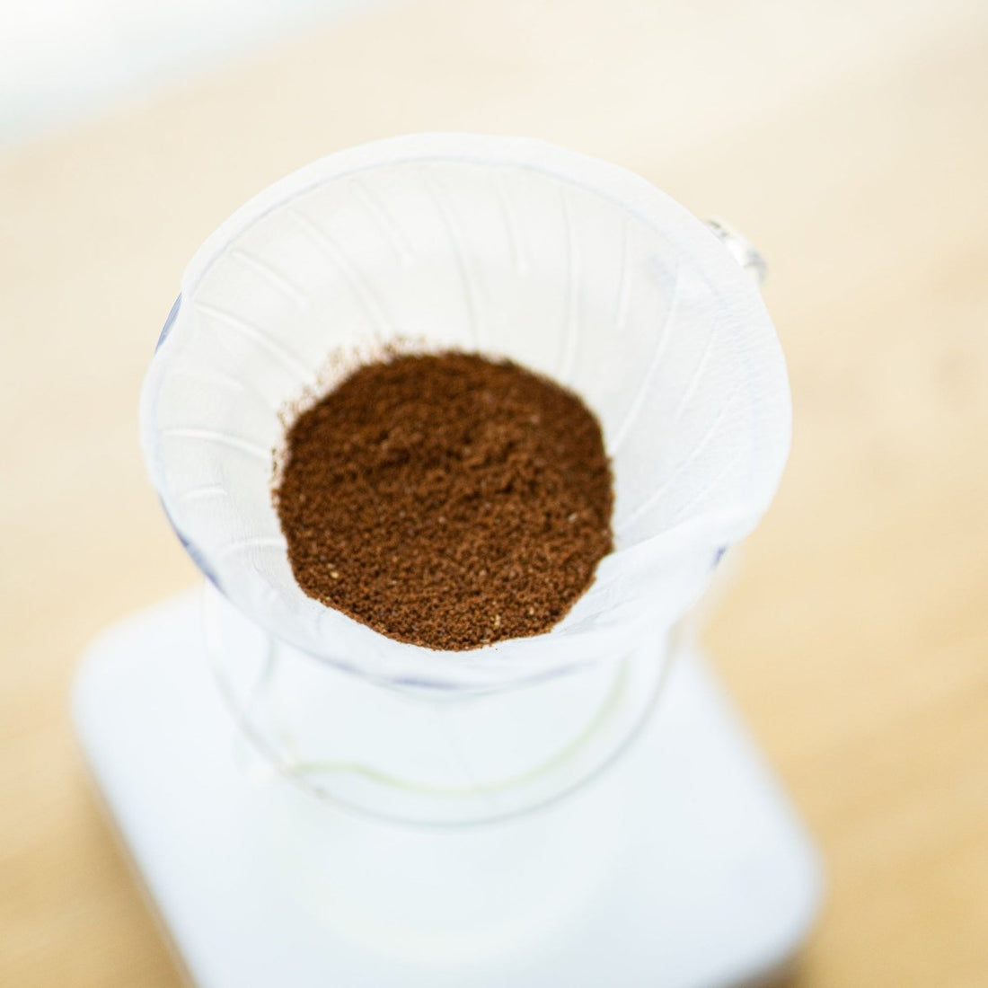 19grams Hario V60 Kunststofffilter Freisteller Gesamtansicht - V60 Filterkaffee Dripper kaufen bei 19grams Berlin