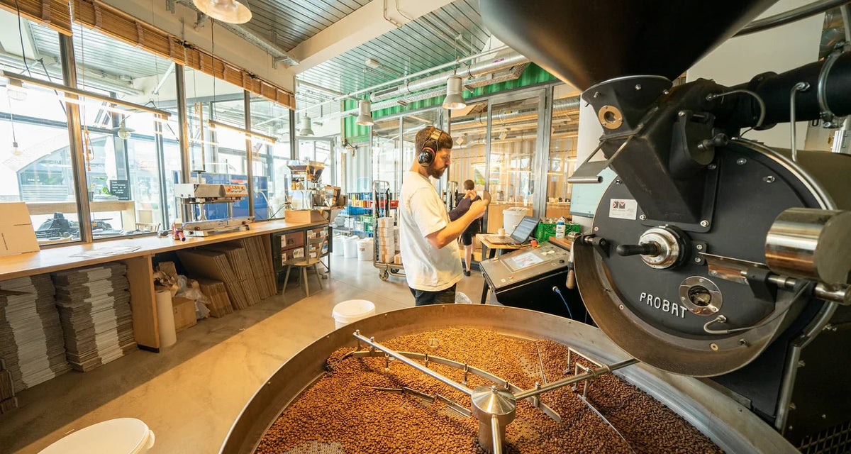 Nachhaltigkeit 1: Kaffee Produktion