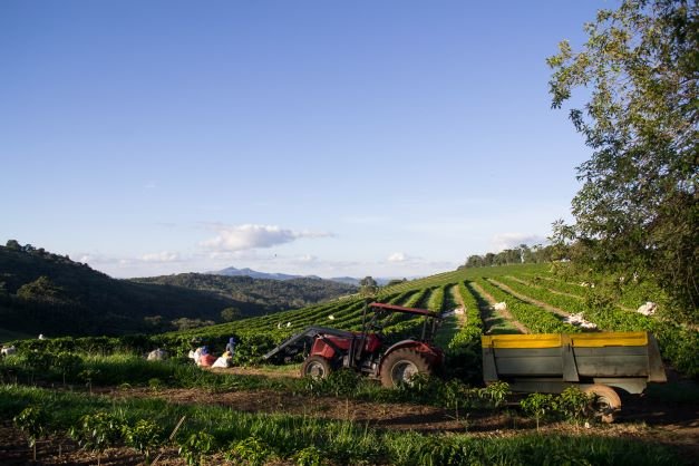 19grims.com partner Fazenda Santuario Sol in Brazil