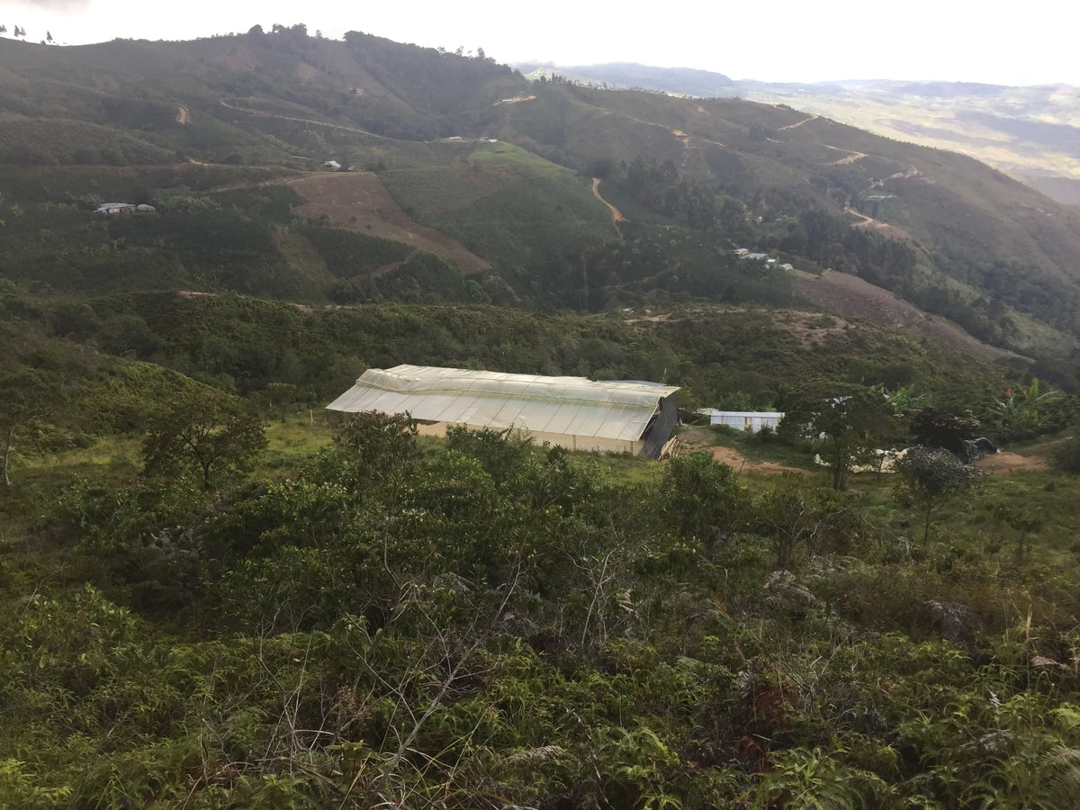 10grams_Finca_Morelia_Colombia_Panorama