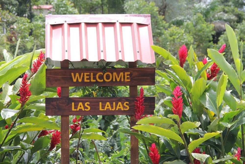 Las Lajas Lima – Kaffeegeschmack aus Costa Rica entdecken