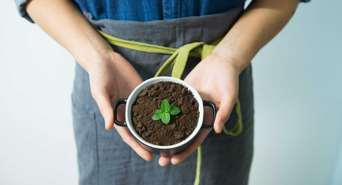 Was kannst du mit Kaffeesatz machen?