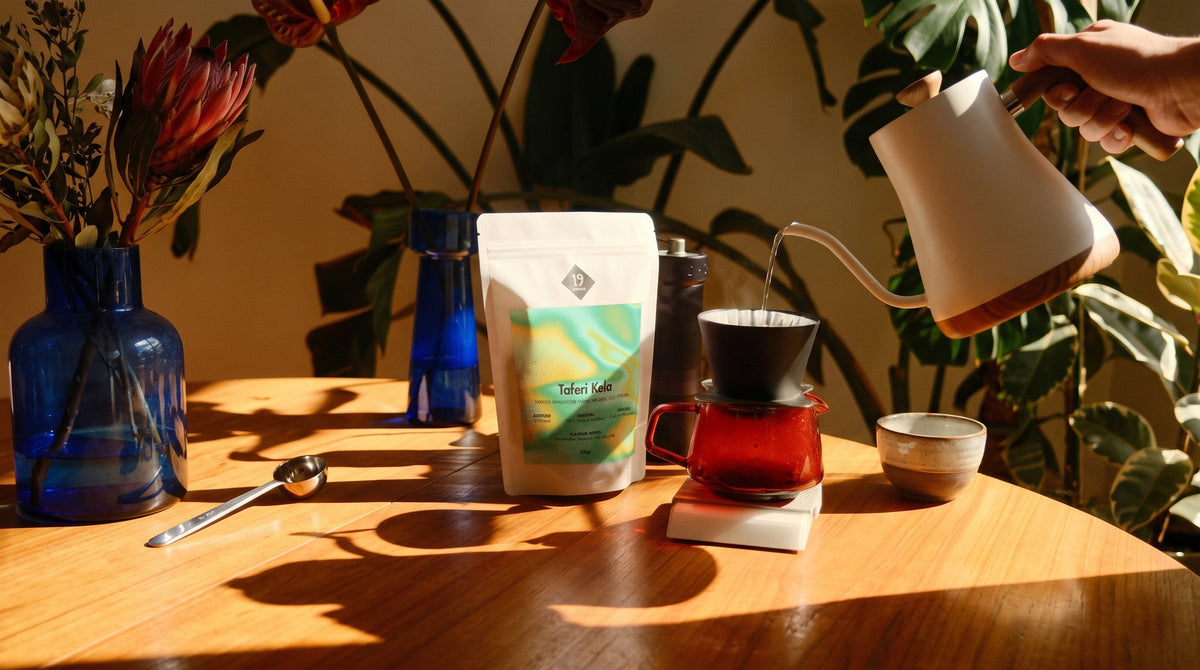 Seltene Kaffeesorten kaufen bei 19grams