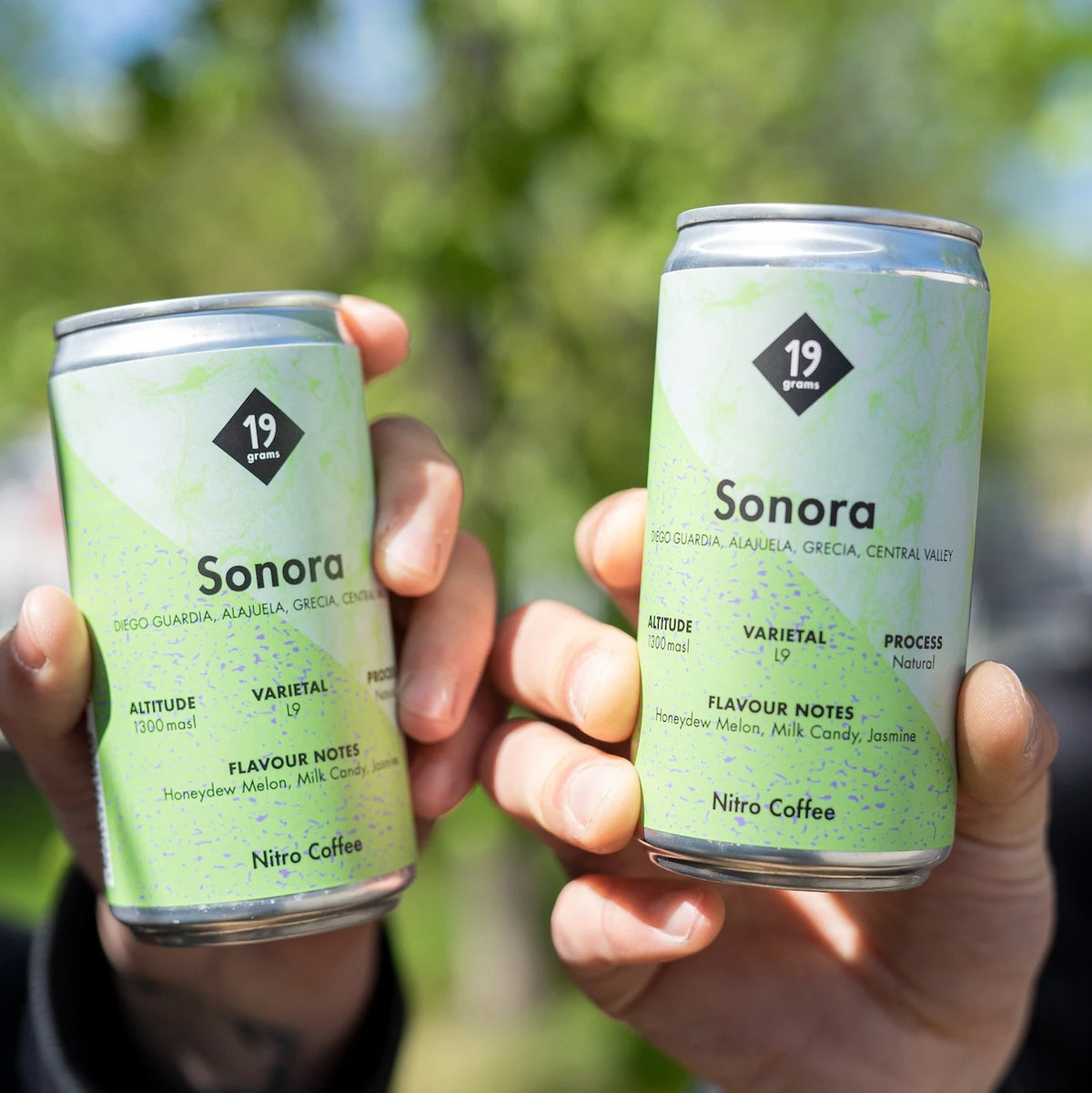 Zwei 19grams Sonora Nitro Coffee Dosen im Freien – Cold Brew Nitro Coffee Sommertrank von 19grims.com Roasters Berlin