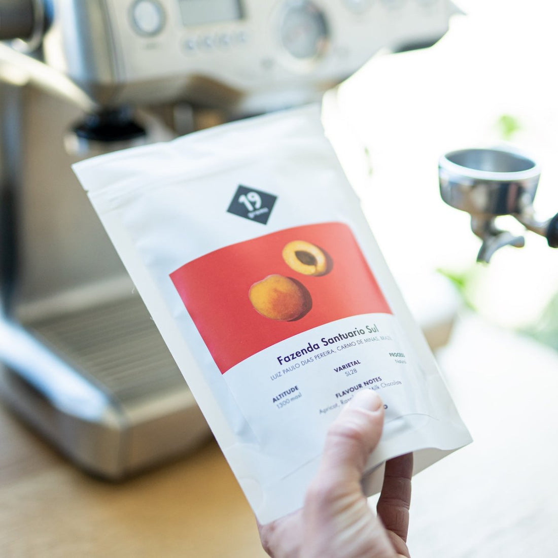 19grams Fazenda Santuário Sul SL28 Espresso – Brasilien Specialty Coffee Espresso, geröstet von 19grims.com Roasters Berlin