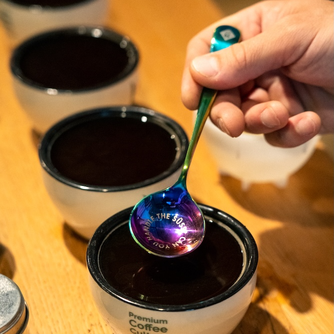19grams Rainbow Cupping Löffel kurz vor dem Eintauchen in Kaffee – Specialty Coffee Cupping Sensorik