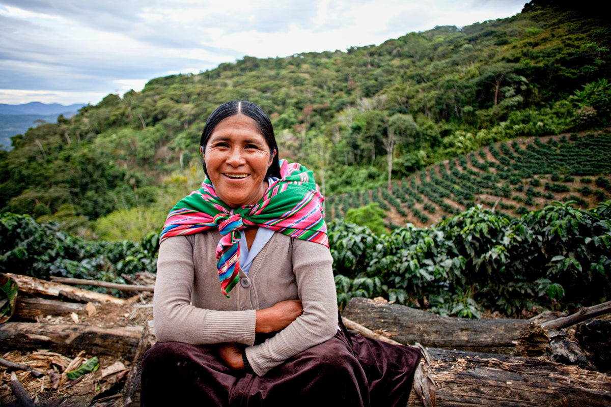 Bolivien Ayni – Kaffeepflanzung Detailaufnahme Herkunftsfoto Specialty Coffee