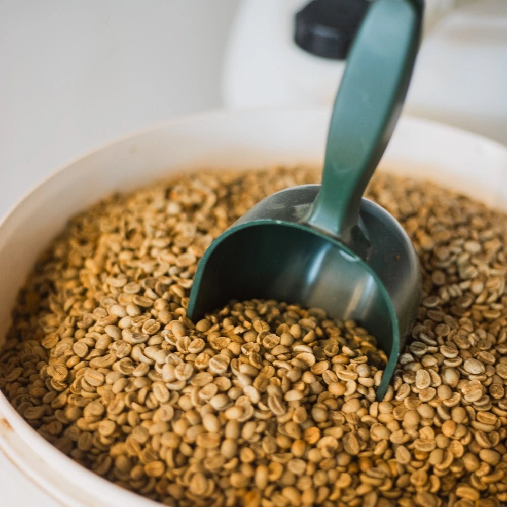 Grüne ungeberöstete Kaffeebohnen im Eimer mit blauer Schaufel – Rohkaffee bei 19grims.com Roasters Berlin, Specialty Coffee Green Beans vor dem Rösten