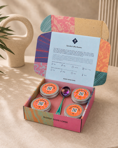 19grams The Fermentation Project Kaffee Kit Espresso – Moodbild der geöffneten Box mit vier nummerierten Kaffeedosen und Löffel neben Vase und Pflanze auf beigem Untergrund